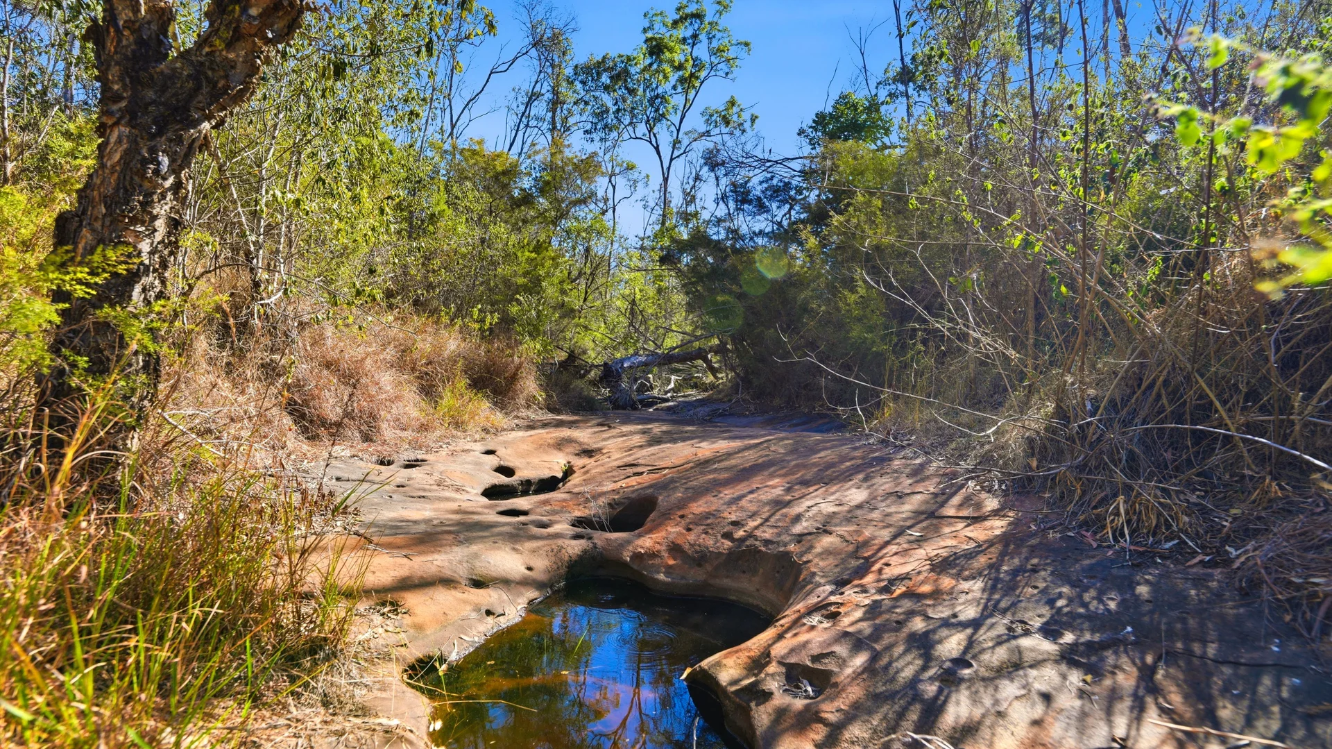 Image 15