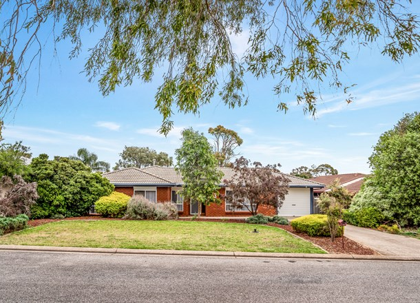 3 Bikila Court, Morphett Vale SA 5162