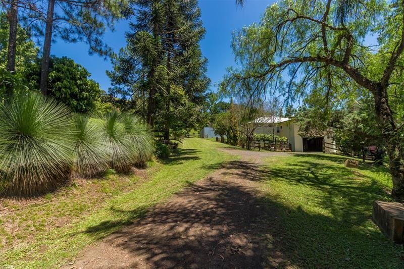 112 Moras Road, Rock Valley NSW 2480, Image 2