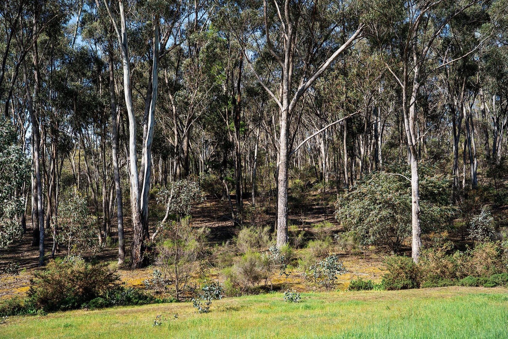 Image 9