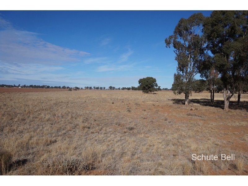 . Burlie, Narromine NSW 2821, Image 0