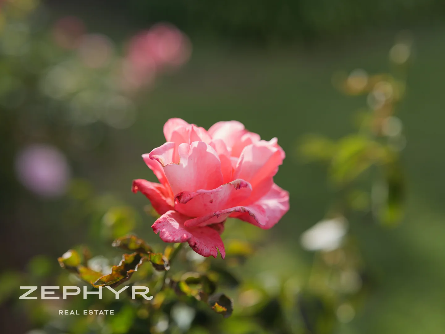 Additional image 57 of 145 Stirling Street, East Bunbury WA 6230