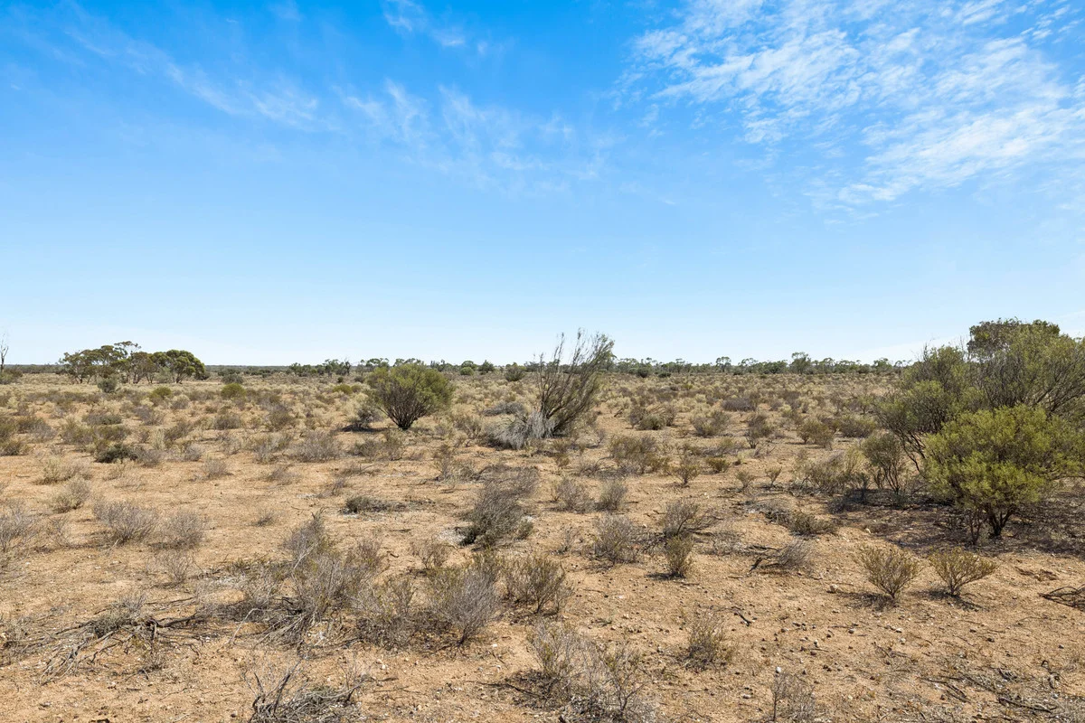 Additional image 22 of 9 Mallee Acres Road, Fisher SA 5354