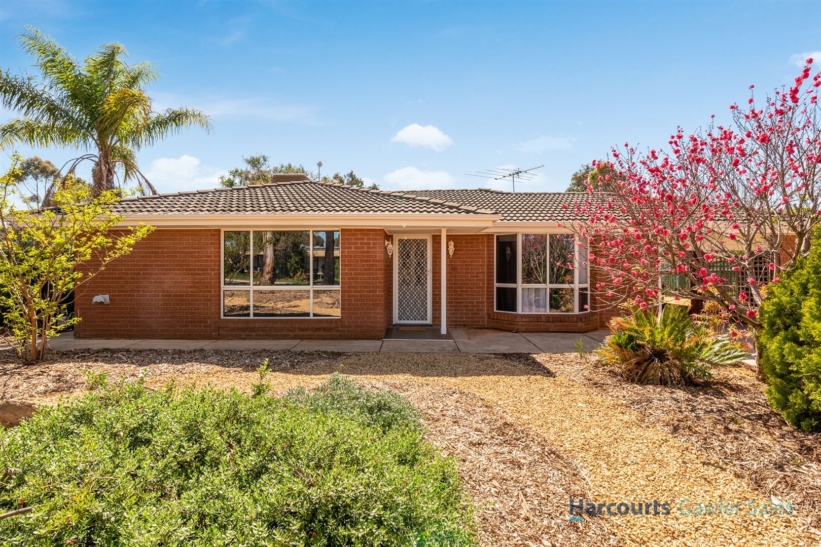 66 Chellaston Road, Munno Para West SA 5115, Image 0