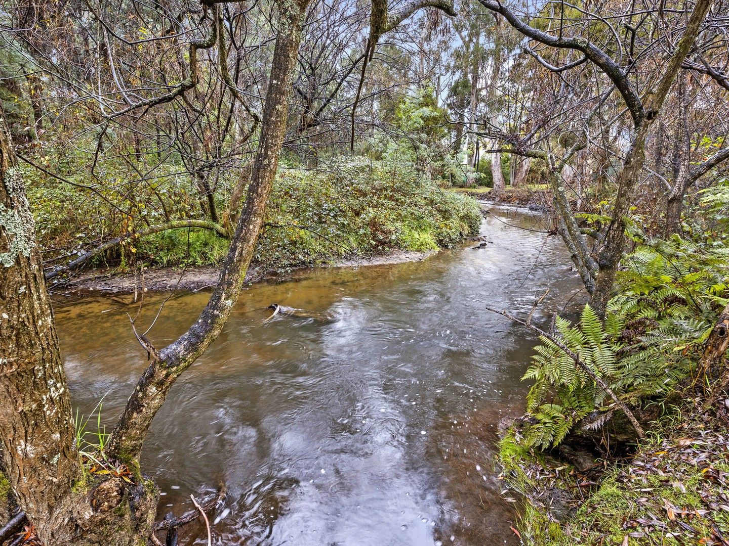 4 Ballina Court, Buxton VIC 3711, Image 1