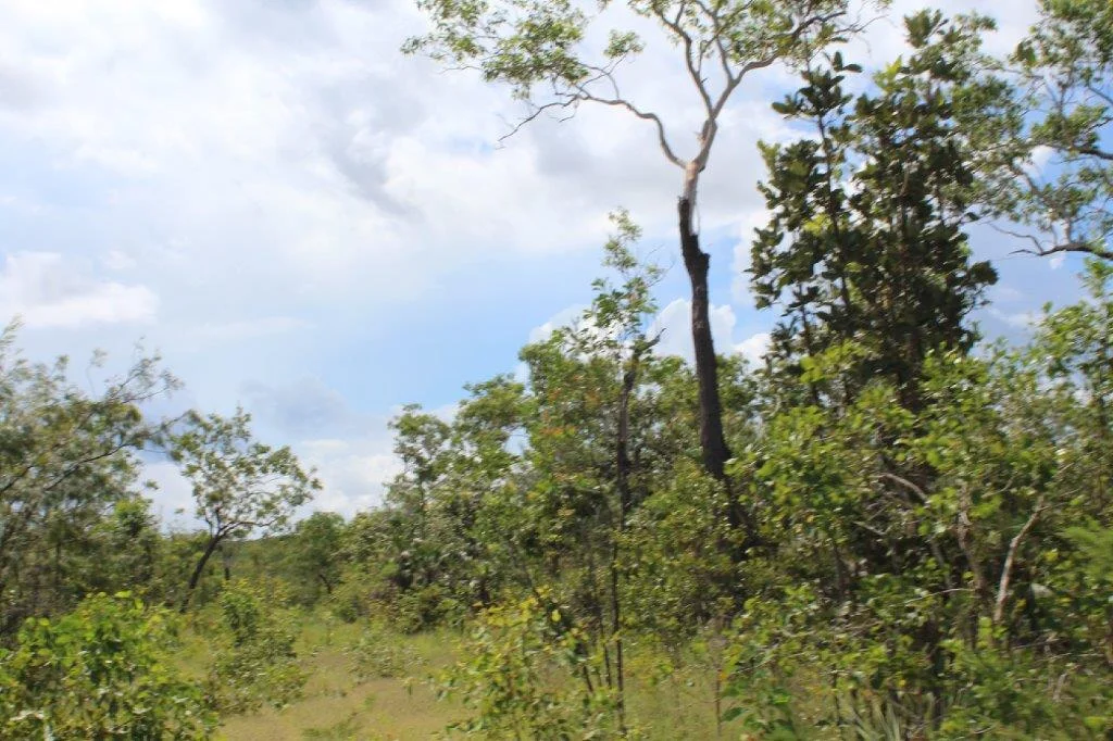 Additional image 20 of 155 Serrata Road, Dundee Downs NT 0840