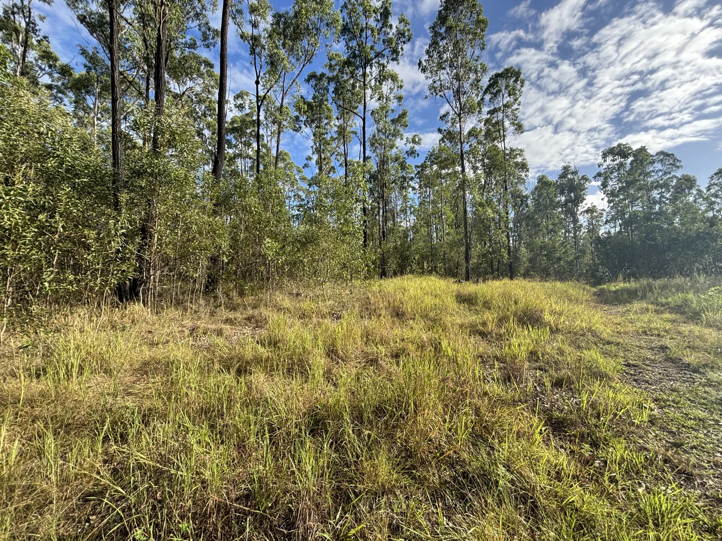 Additional image 7 of 580 Old Tenterfield Road, Camira NSW 2469