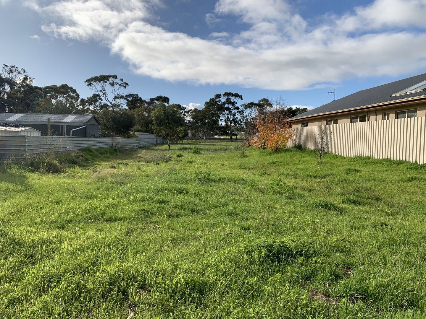 181 Victoria Parade, Bordertown SA 5268, Image 1