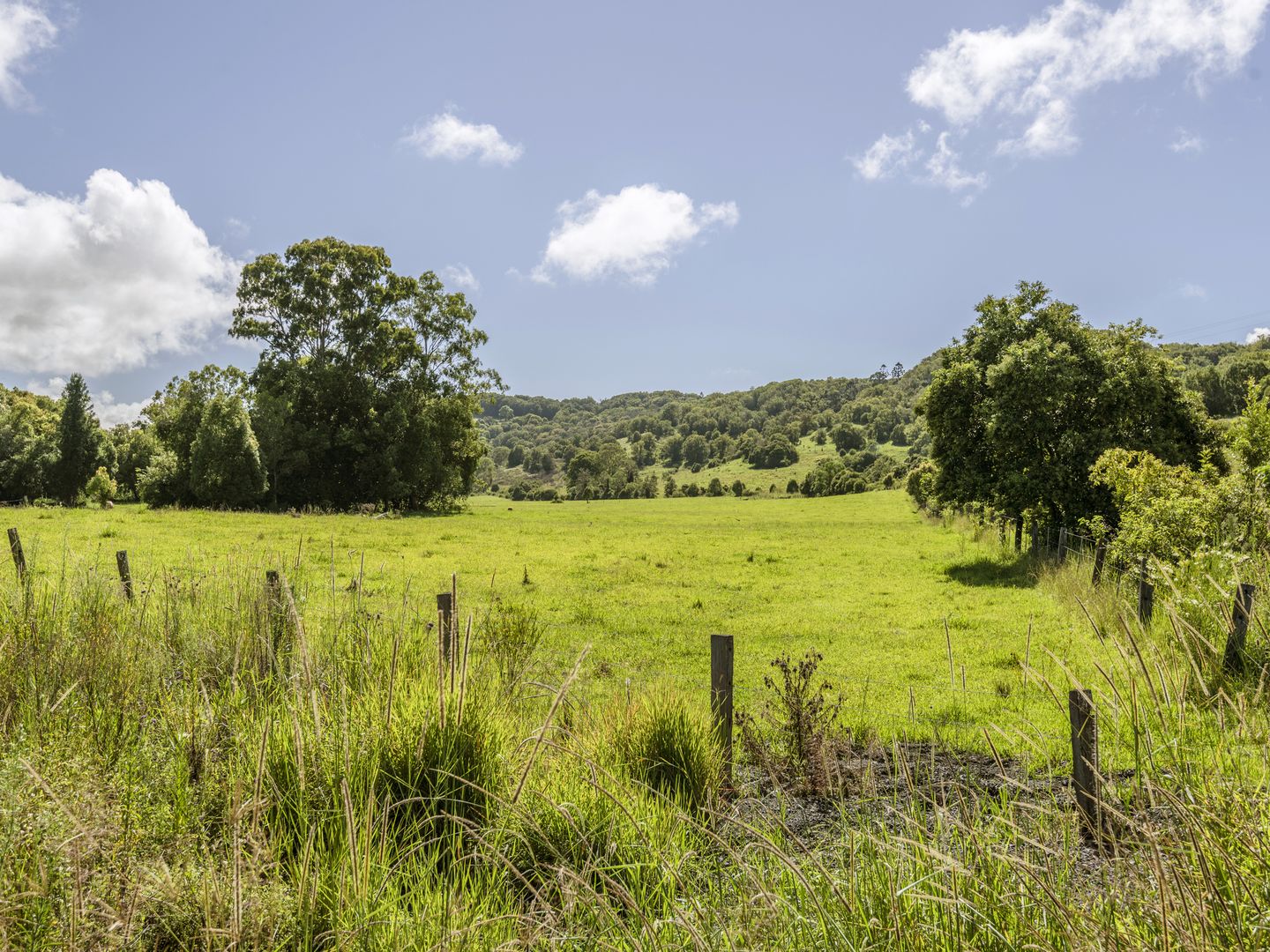 Lot 106 Hewitt Road, Booerie Creek NSW 2480, Image 2