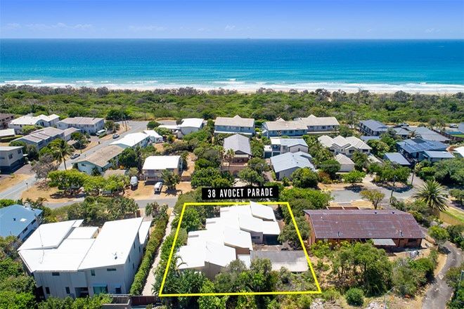 Picture of 38 Avocet Parade, PEREGIAN BEACH QLD 4573