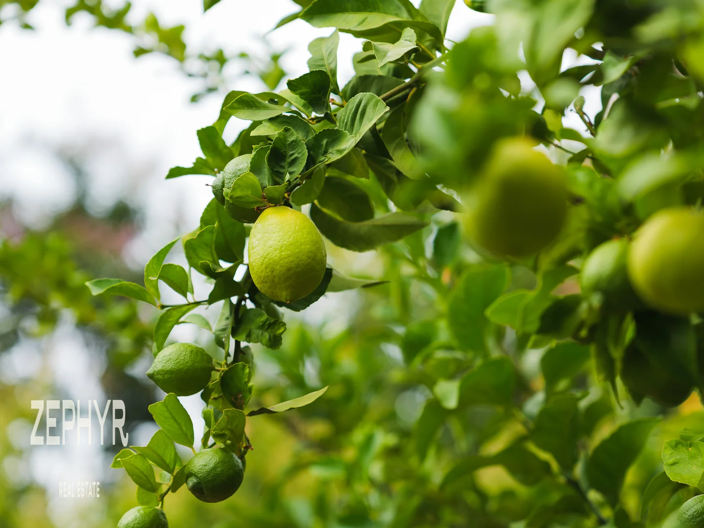 Additional image 43 of 89 Hearle Road, Mumballup WA 6225