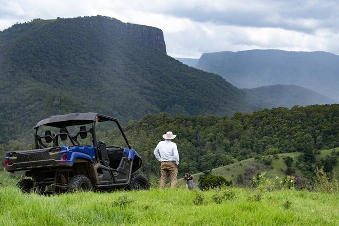 Picture of 106 Gap Creek Road, LAMINGTON QLD 4285