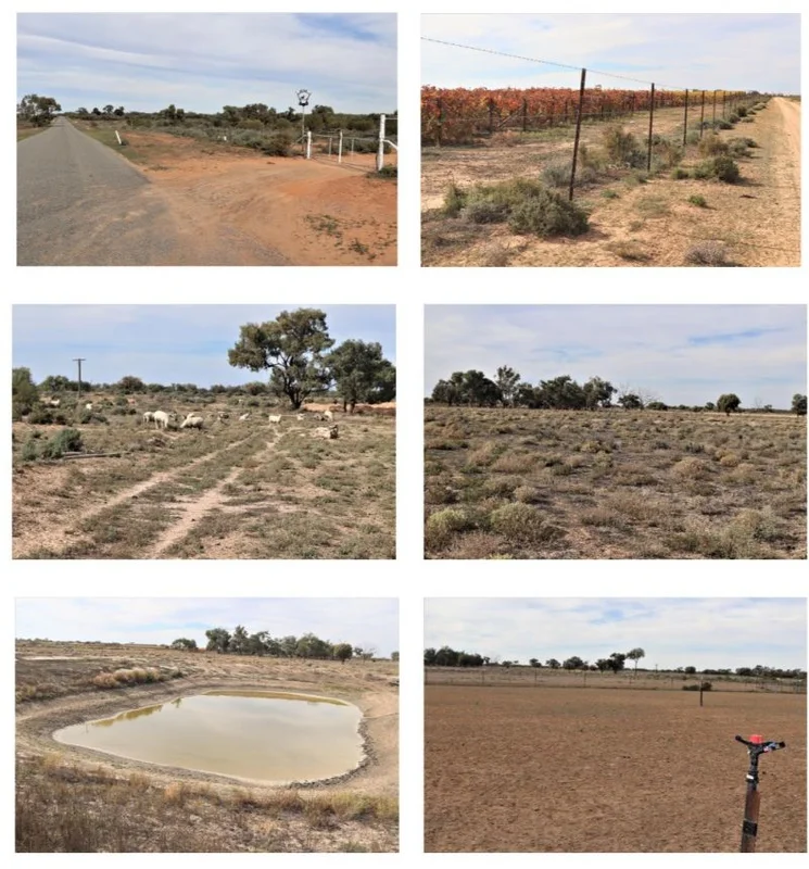 Image 12