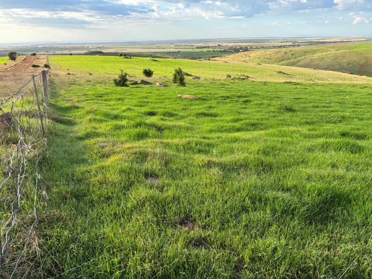 Additional image 15 of Lot 42 Harvey Well Road, Tumby Bay SA 5605