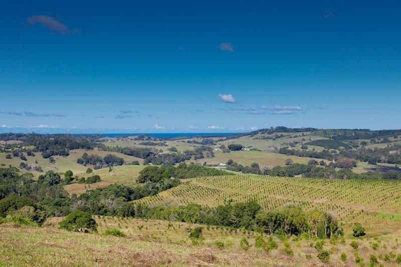 BANGALOW NSW 2479, Image 1