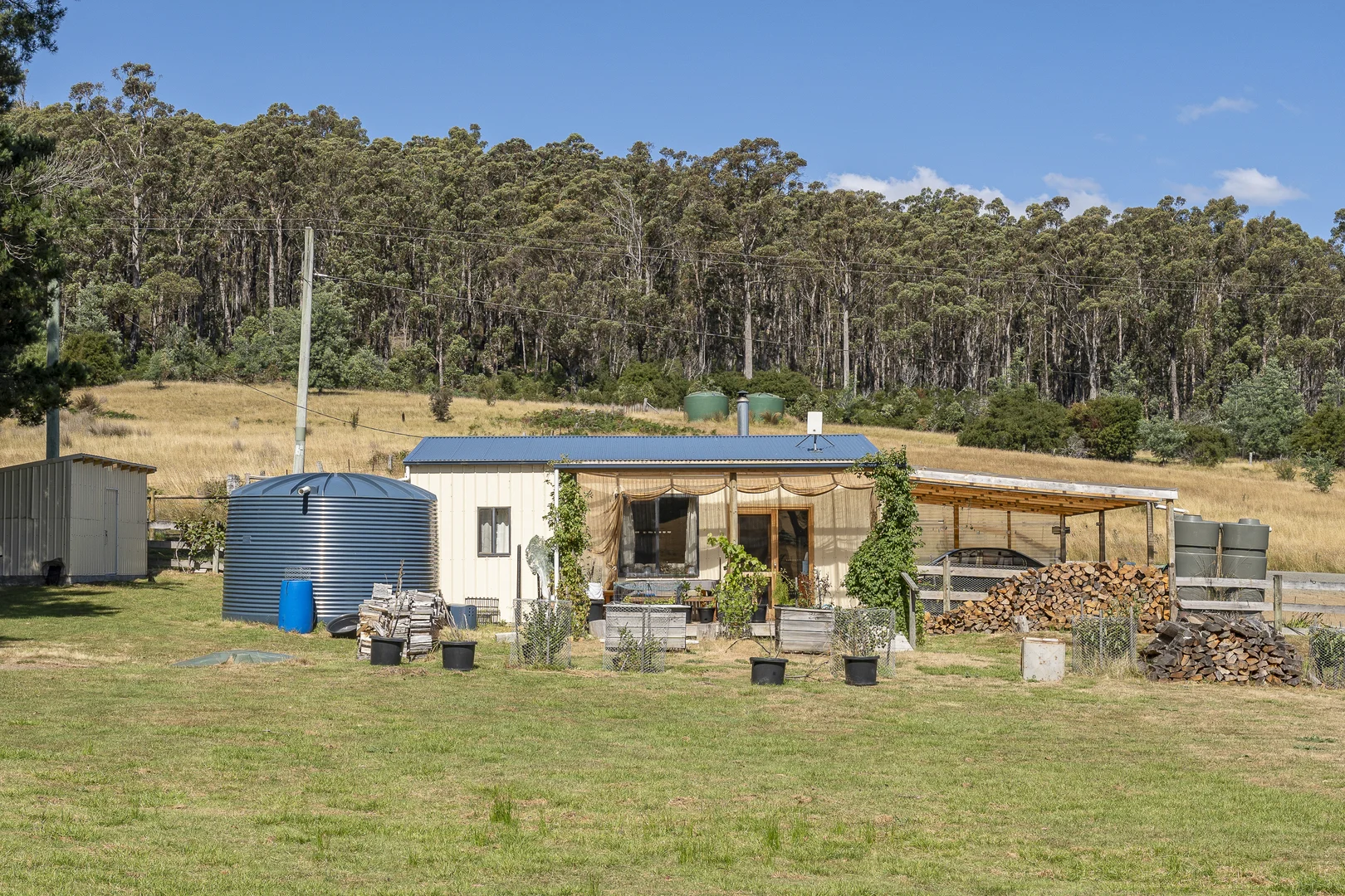 Image 12