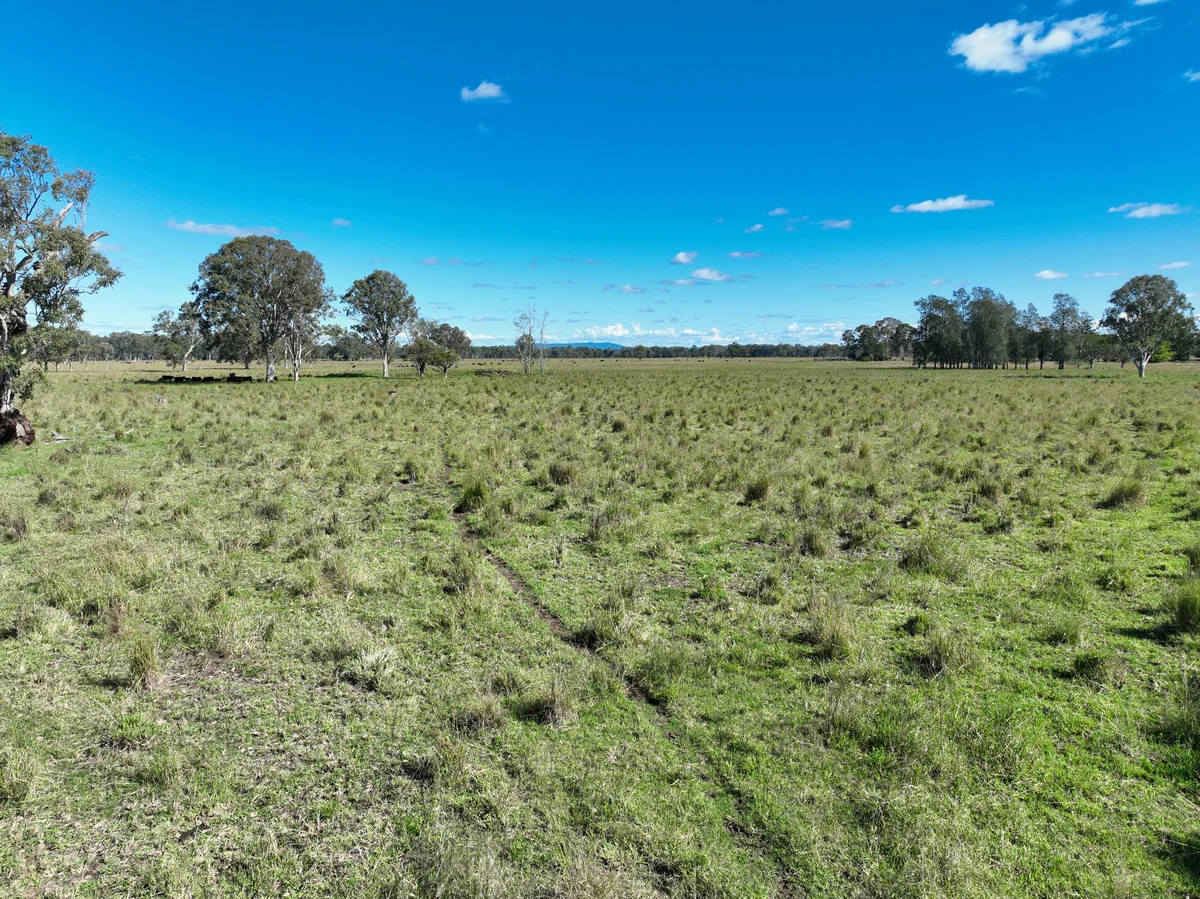 Image 13