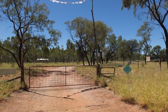 Picture of 996 (Lot 1967) Ilparpa Road, WHITE GUMS NT 0870