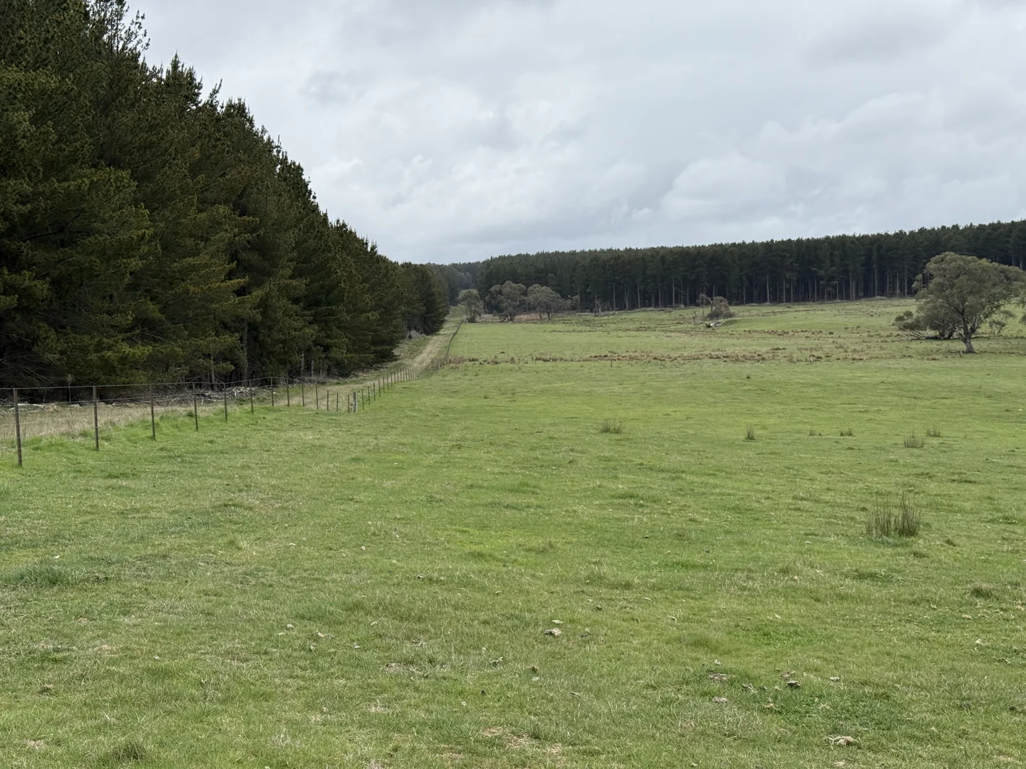 Image 9