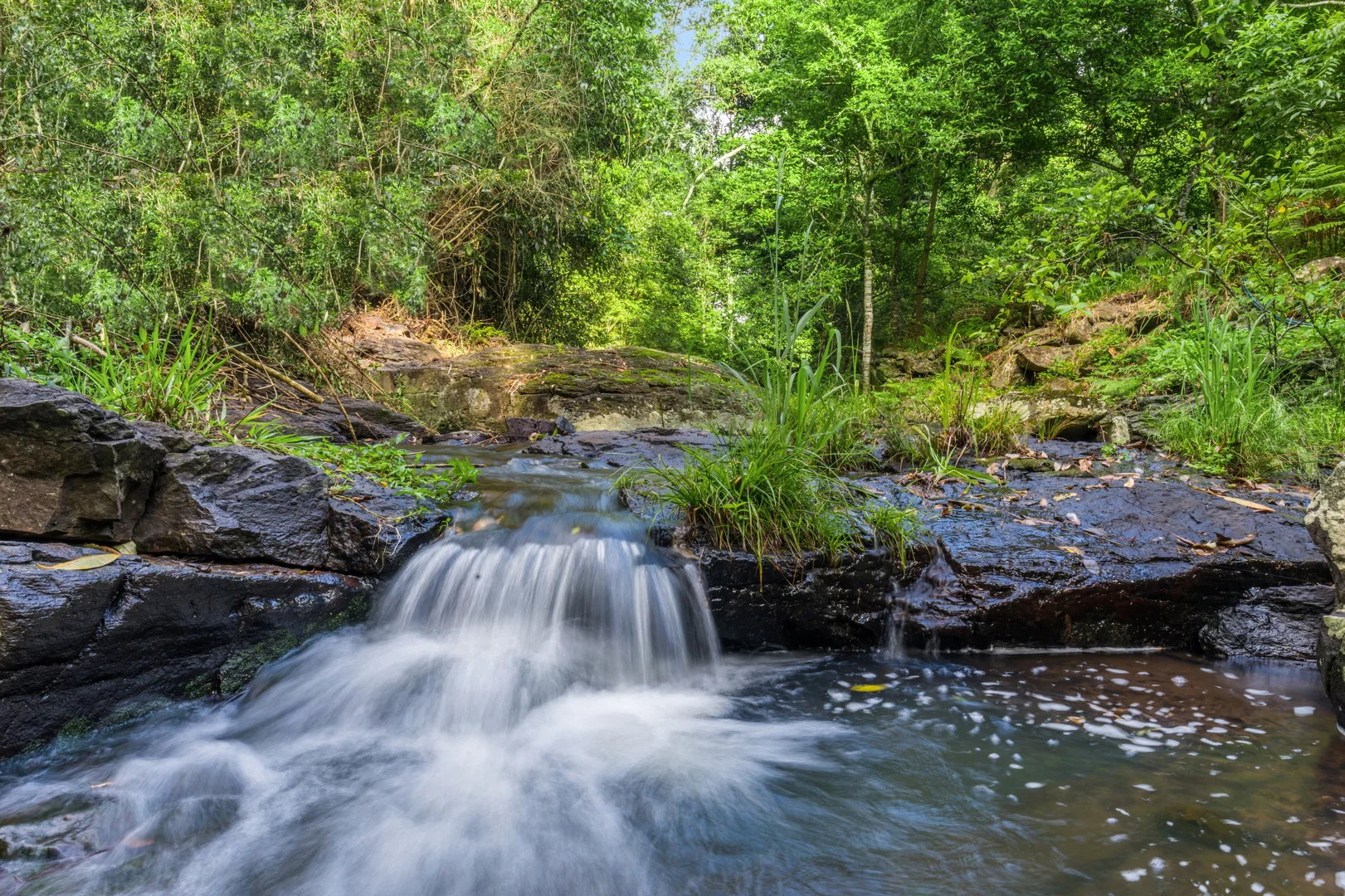 Additional image 8 of 362 Coorabell Road, Coorabell NSW 2479