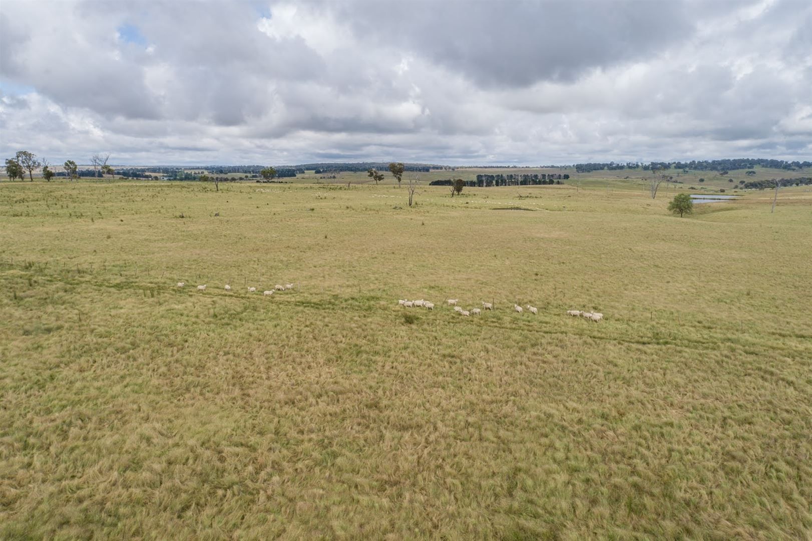 Ryan East/Lot 1 Green Gully Road, Uralla NSW 2358, Image 1