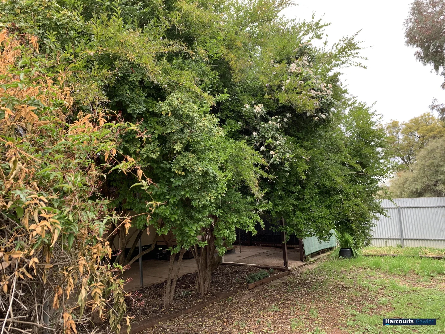 Additional image 8 of 39 Gayland Road, Elizabeth Downs SA 5113