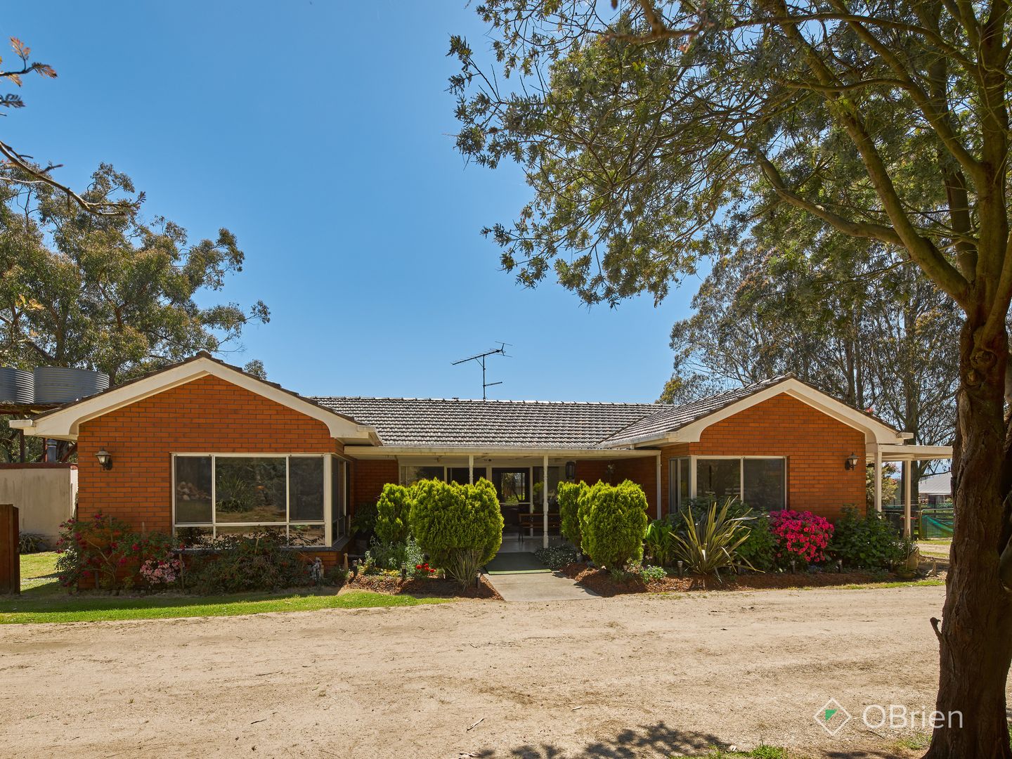 223 Darnum-Shady Creek Road, Darnum VIC 3822, Image 2