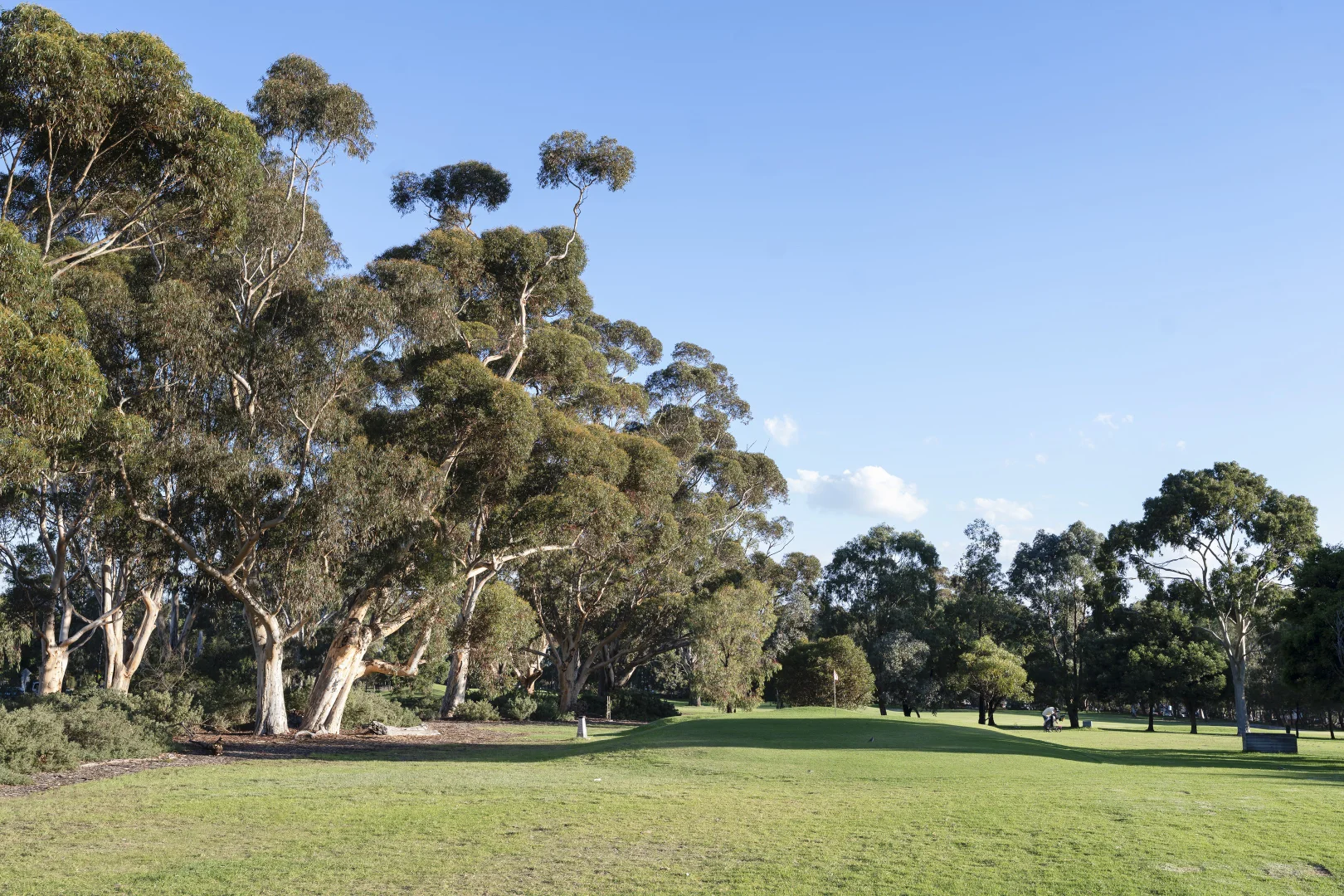 Additional image 14 of 18/202 The Avenue, Parkville VIC 3052