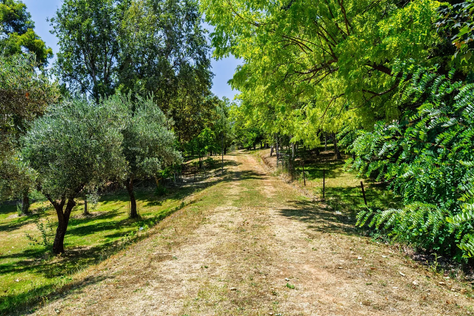 Additional image 28 of 1 James Close, Bright VIC 3741