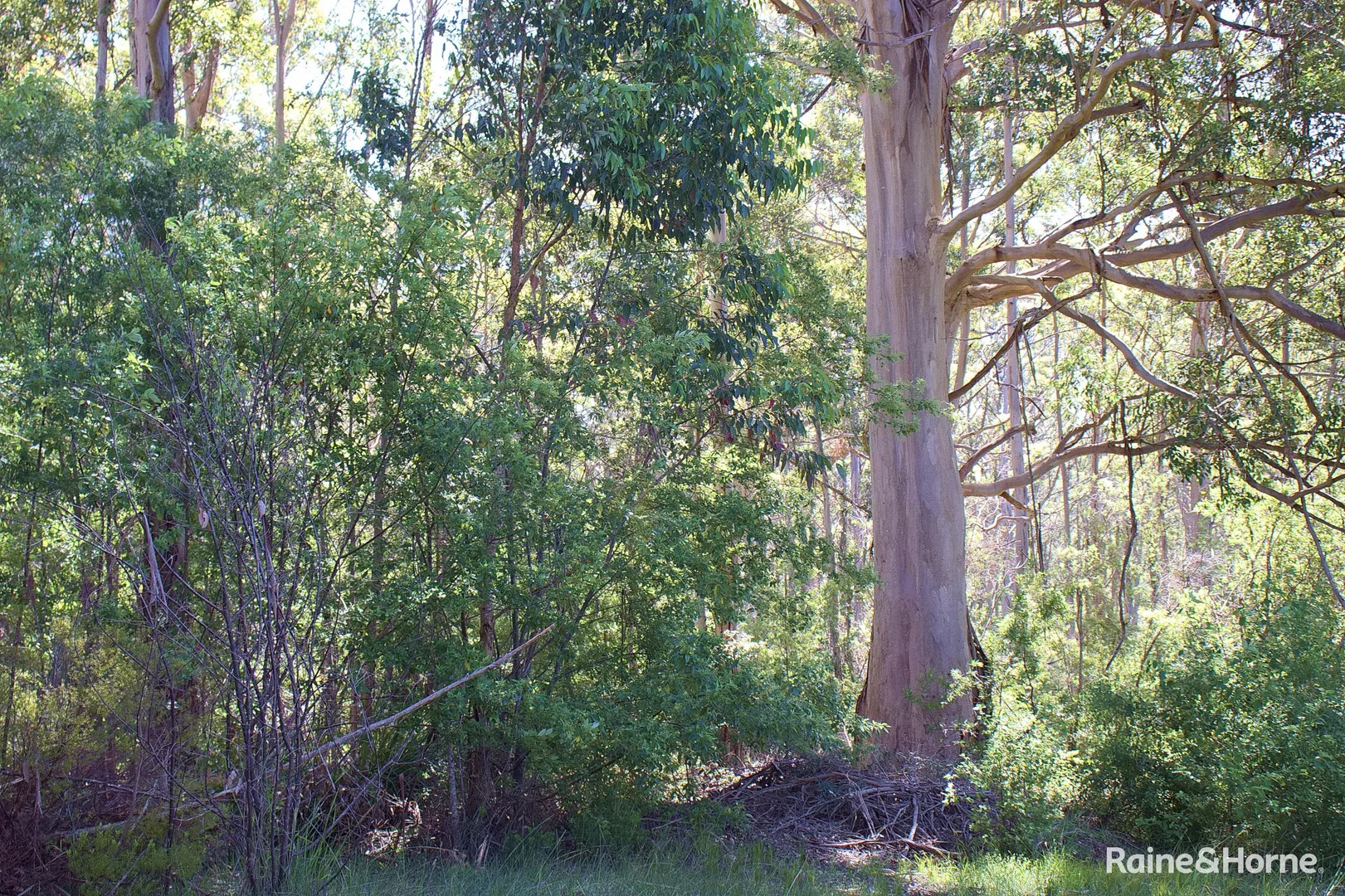 Image 26