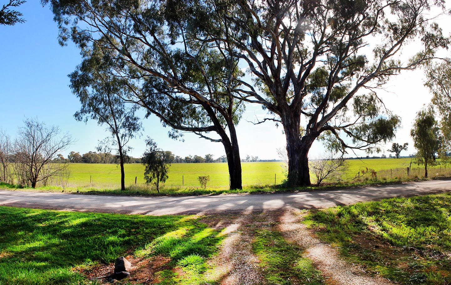 176 TABILK-MONEA ROAD, Tabilk VIC 3607, Image 1