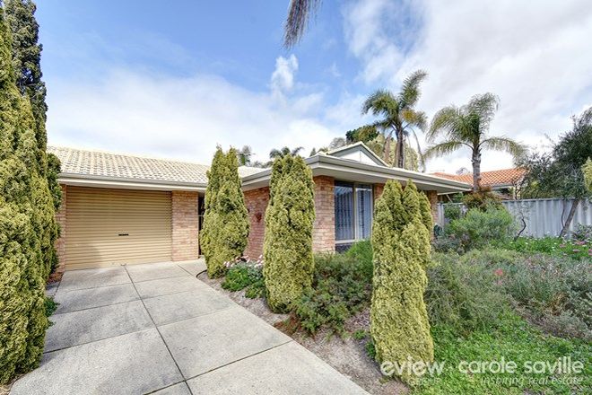 Picture of 3A Whitcombe Way, ALEXANDER HEIGHTS WA 6064