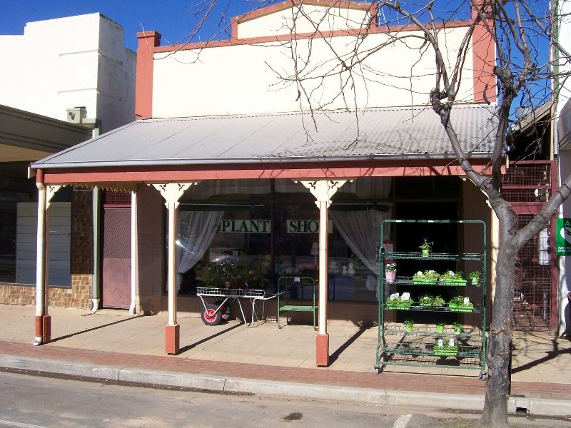 42 Chanter Street, Berrigan NSW 2712