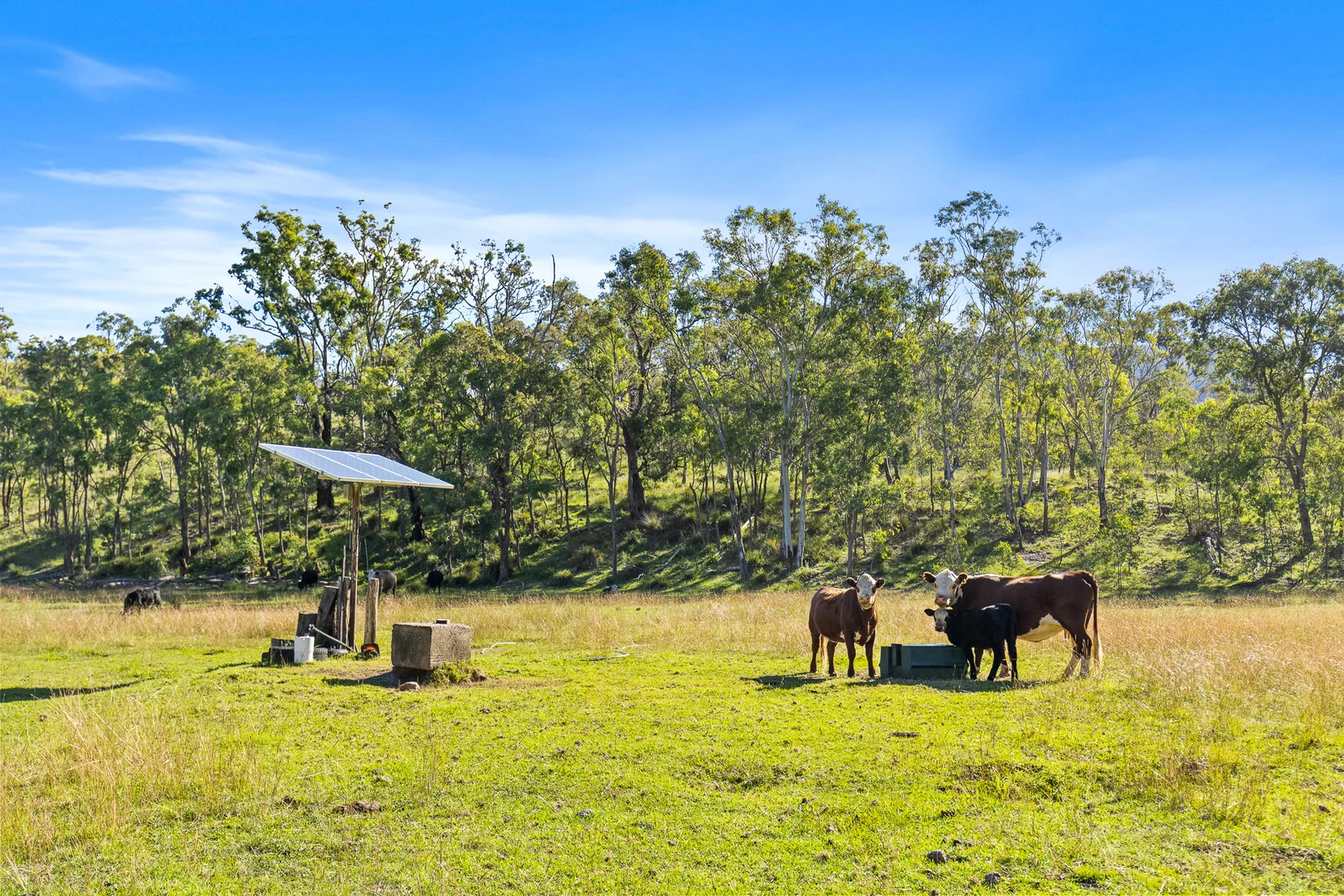 Additional image 17 of Lot 28/505 Genowlan Road, Glen Alice NSW 2849