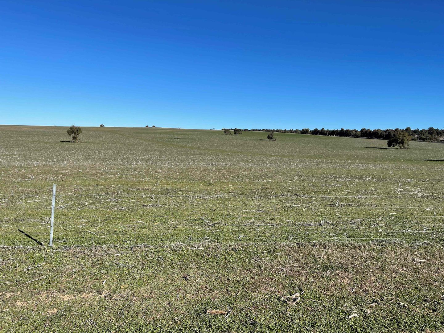 201 Mahomet Road, Dandaragan WA 6507, Image 2