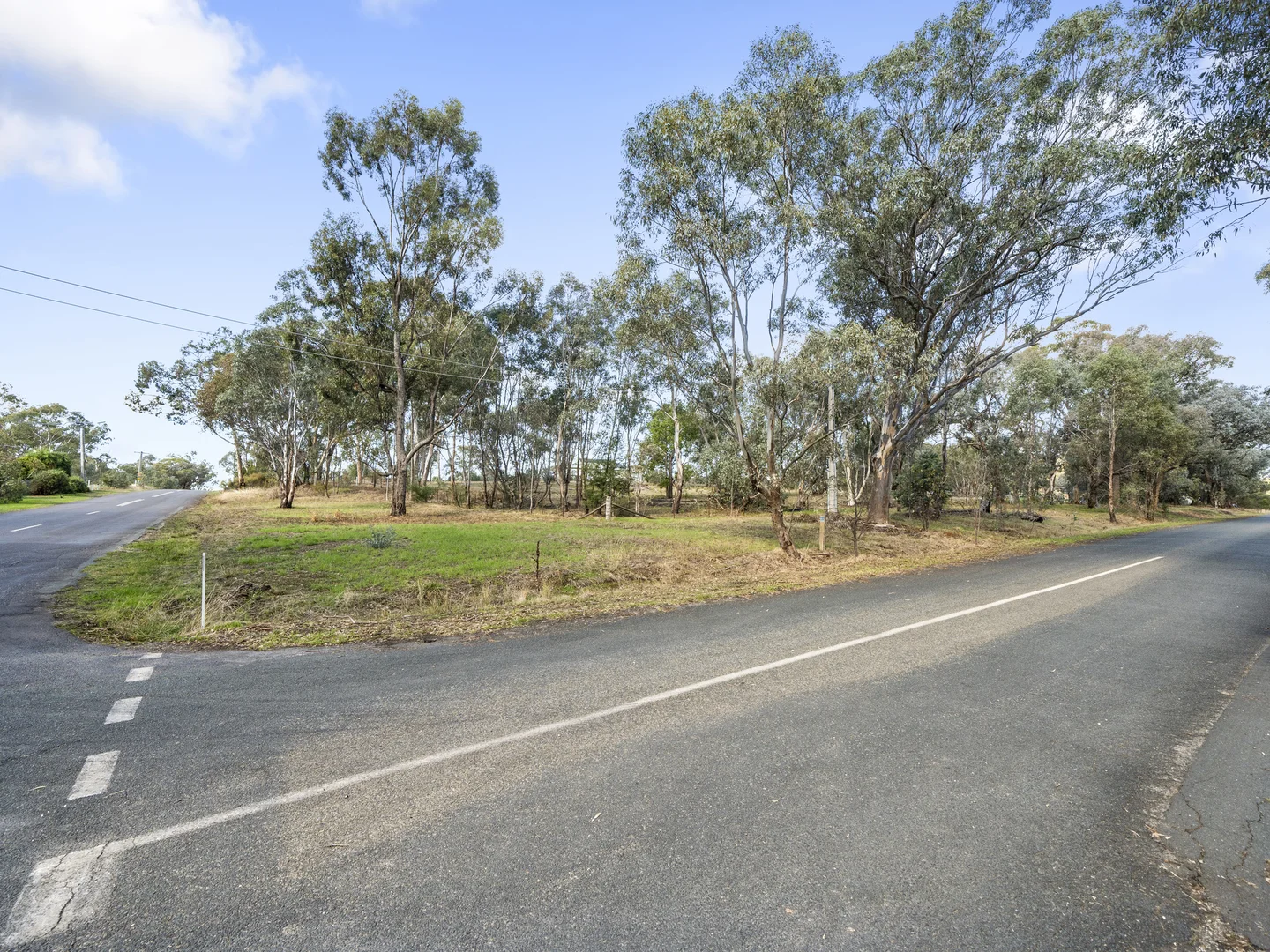 Image 14