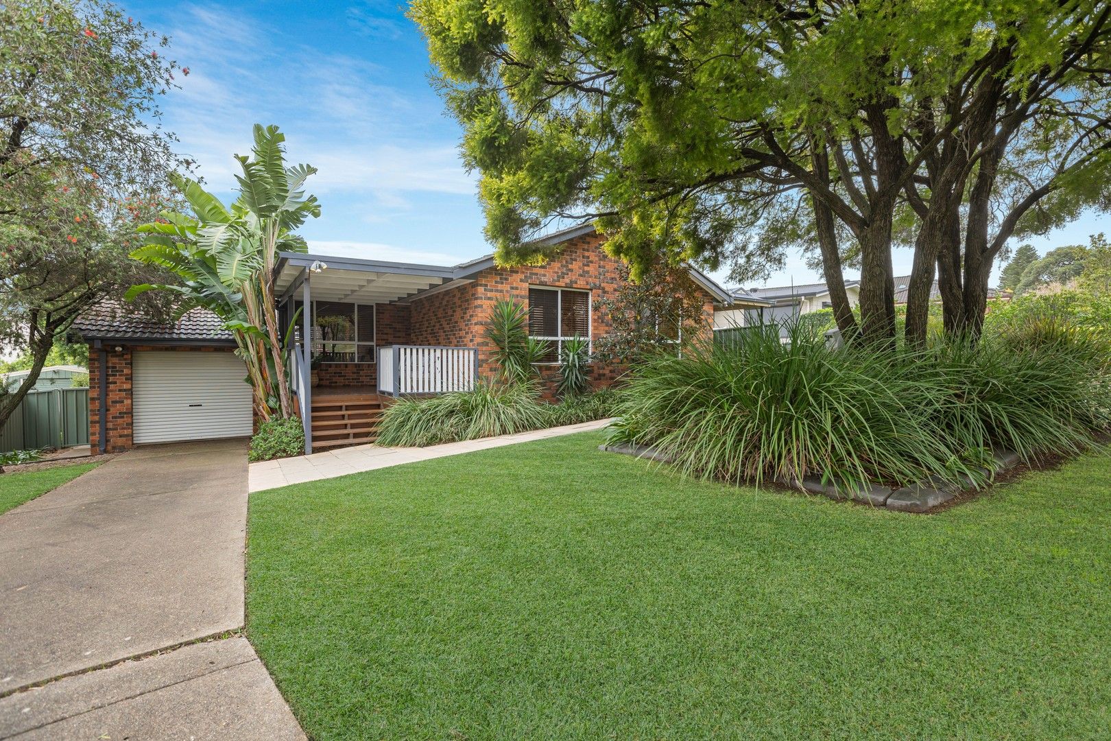 4 bedrooms House in 36 Lexia Street MUSWELLBROOK NSW, 2333