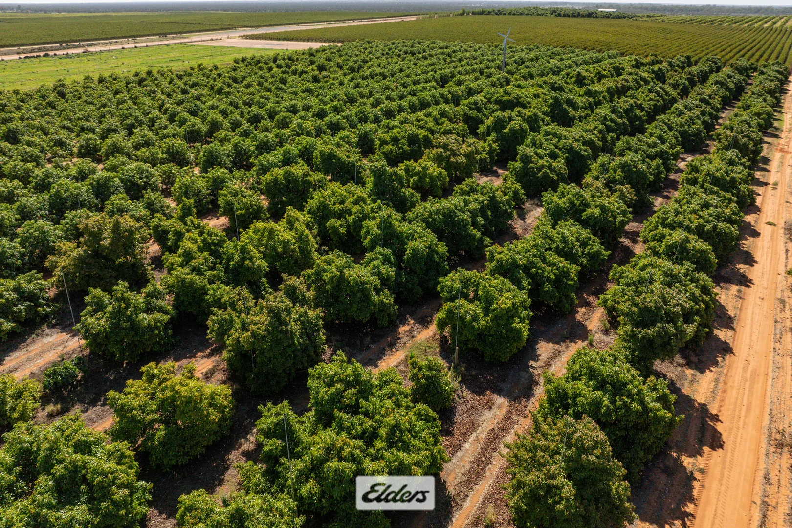 Additional image 44 of 135 Red Hill Road, Pomona NSW 2648