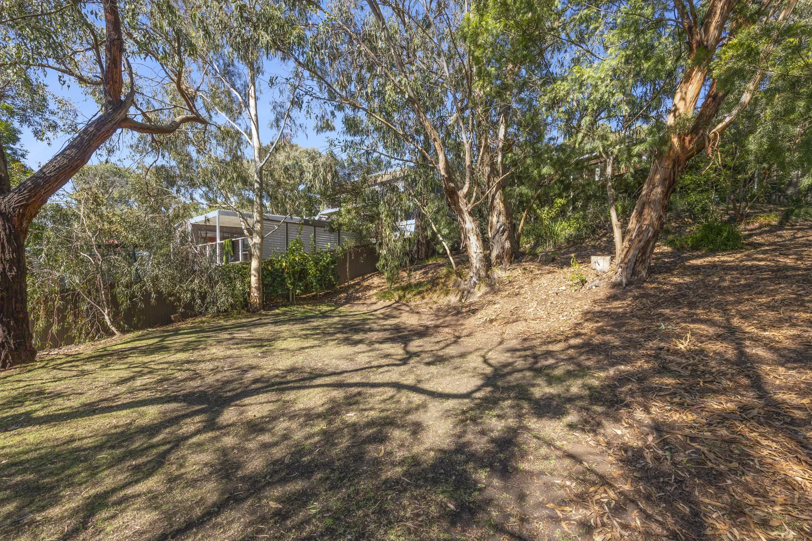 Additional image 18 of 23 Belton Street, Anglesea VIC 3230