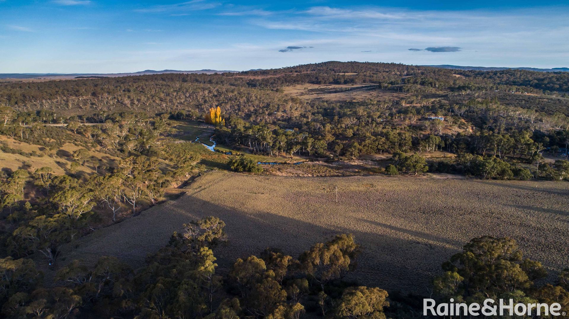 477 Werralong Road, Dalgety NSW 2628, Image 1