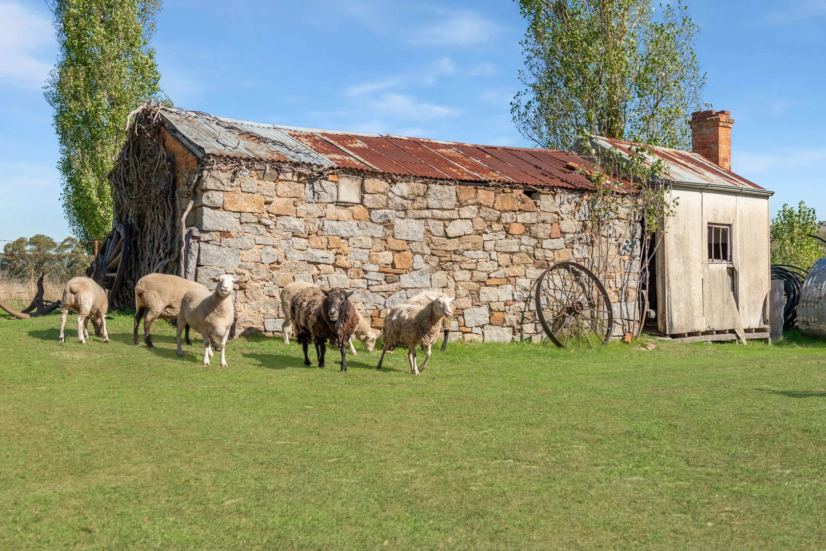 Additional image 3 of 3105 Harmony Way, Faraday VIC 3451