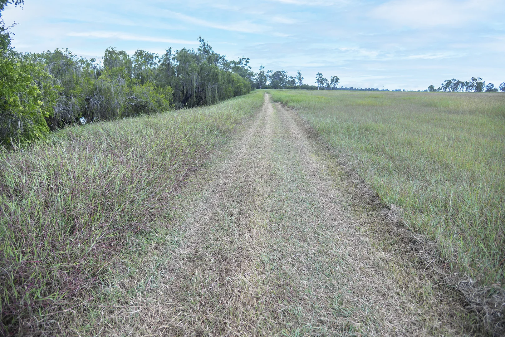 Additional image 15 of 480-510 Rosewood-Warrill View Road, Rosewood QLD 4340