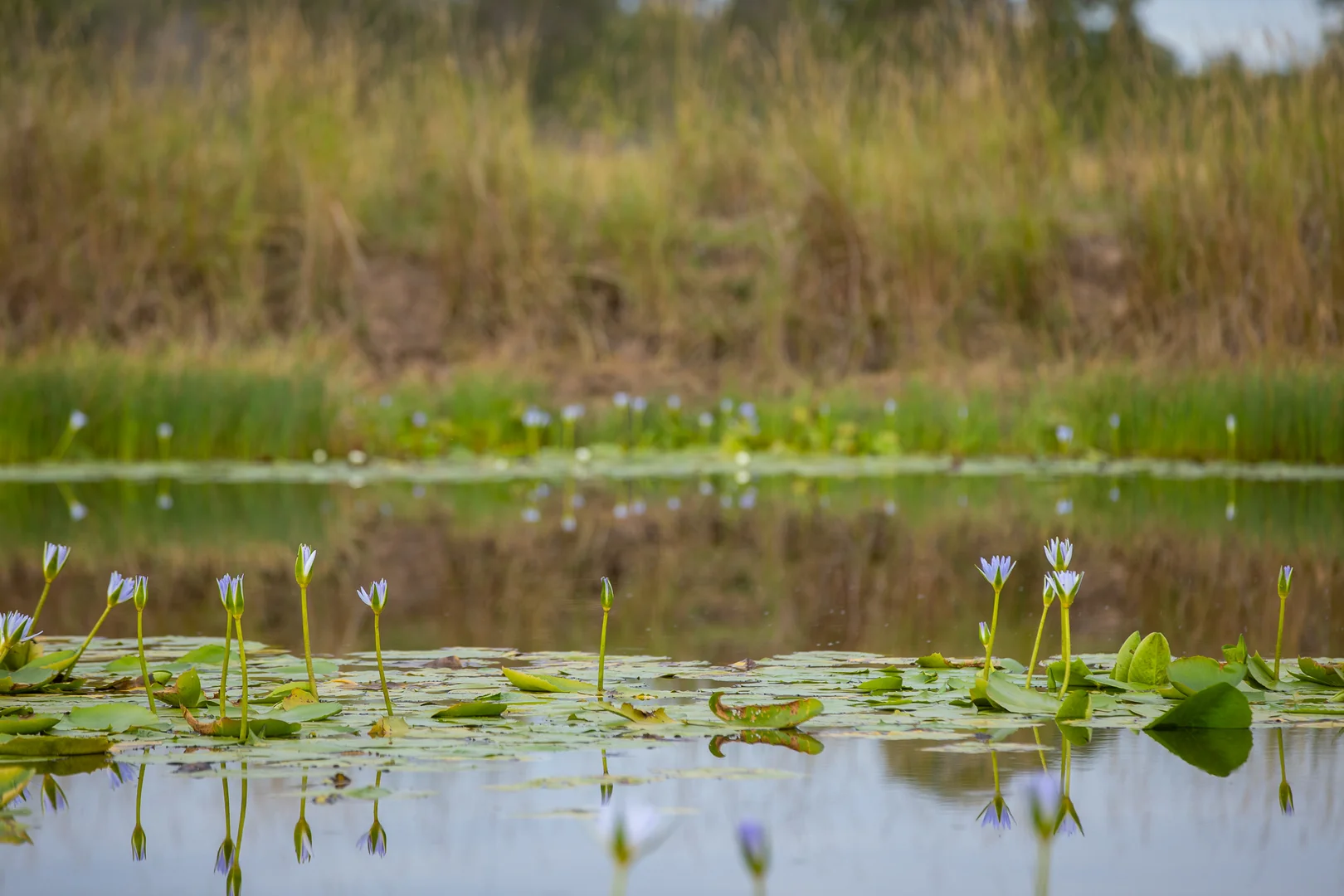 Additional image 18 of 58 Boormans Lane, Grafton NSW 2460