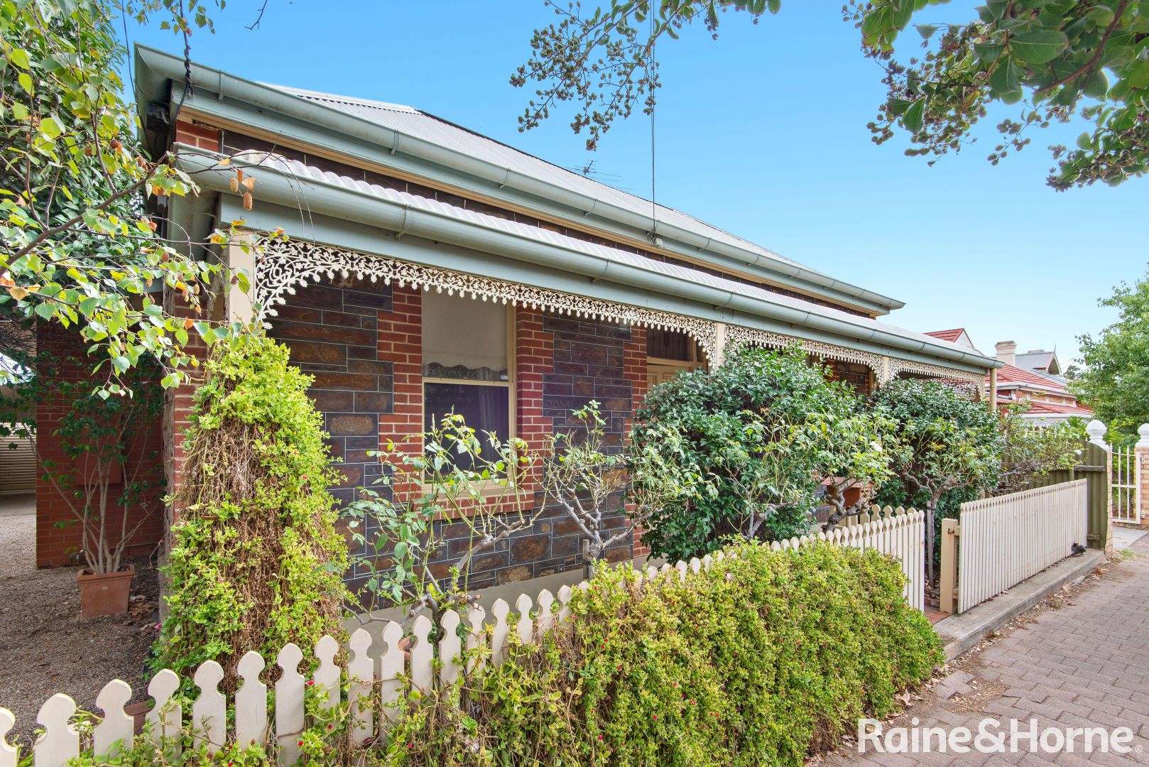 66 Essex Street South, Goodwood SA 5034, Image 1