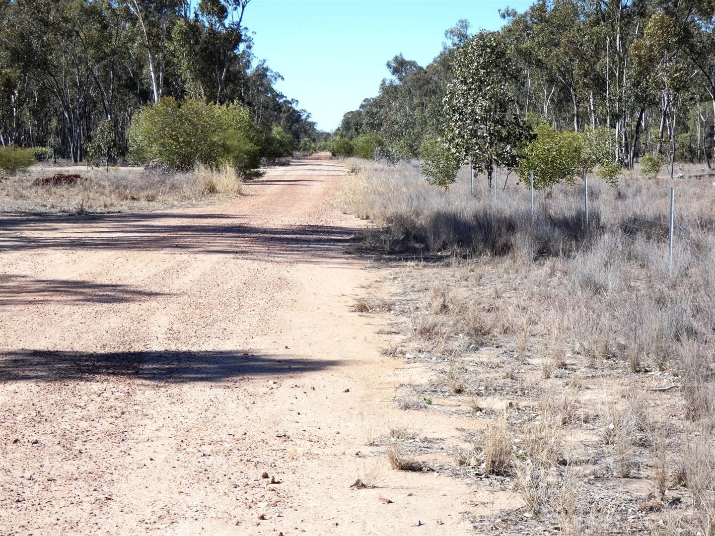 Lot 3 Chinchilla Tara Road, Chinchilla QLD 4413, Image 1