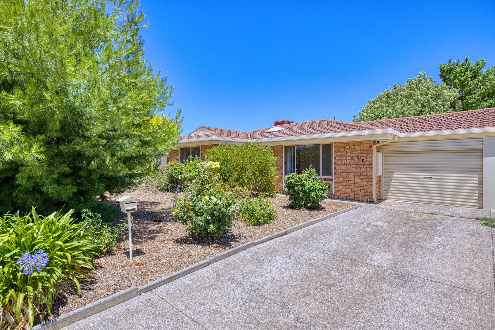 4 bedrooms House in 6 Chappel Ave MORPHETT VALE SA, 5162