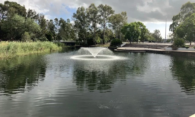 Image 12