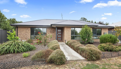 Picture of 1/504 Somerville Street, BUNINYONG VIC 3357
