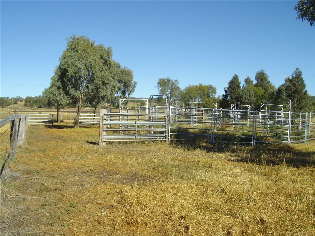Lot 204 Rossvale West Rd, Pittsworth QLD 4356, Image 0
