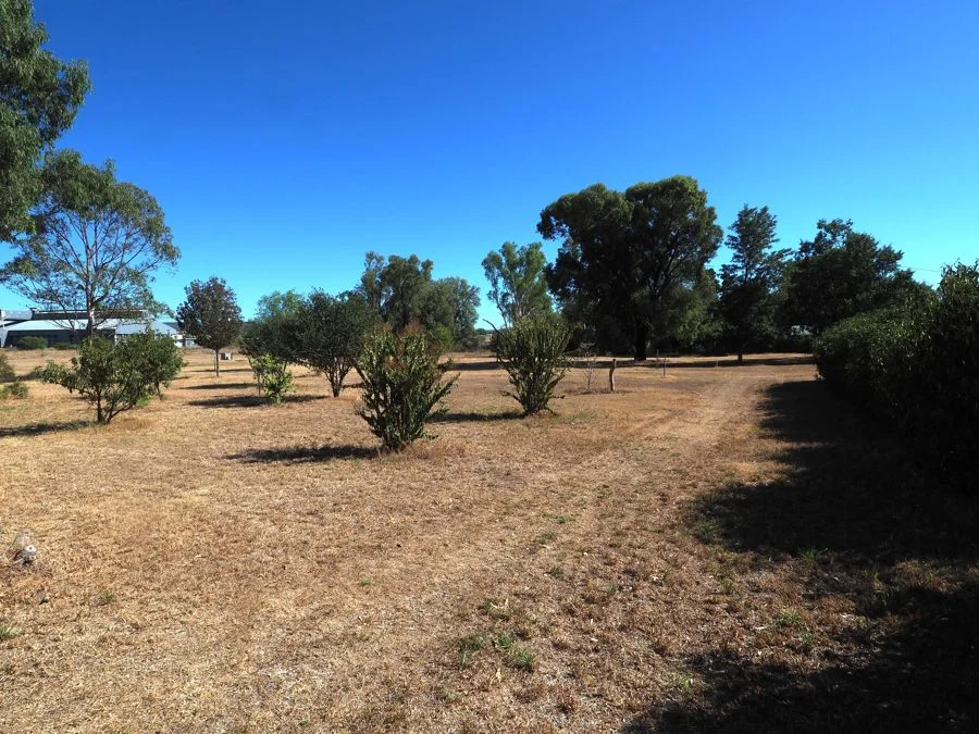 Additional image 18 of 83-91 Bingara Road, Warialda Rail NSW 2402